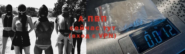 apvp Алзамай