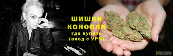 apvp Алзамай