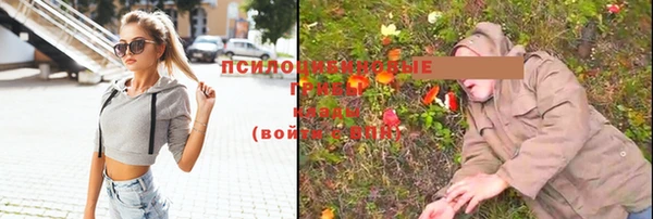спайс Абдулино