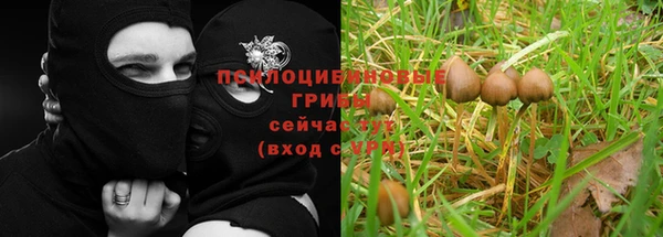 дживик Алексин